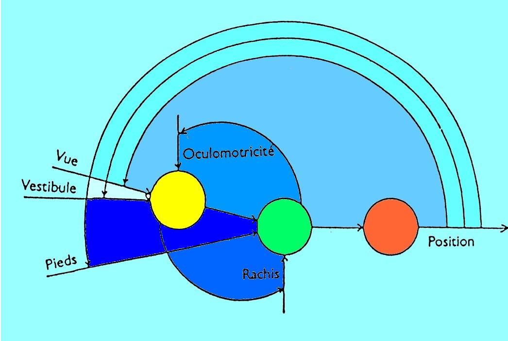 vision cybernétique gagey pierre marie