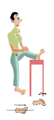 étirement musculaire chaine fermée